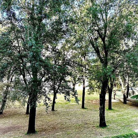 Trauzzi House * בולוניה